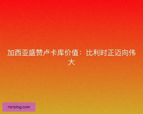 加西亚盛赞卢卡库价值：比利时正迈向伟大